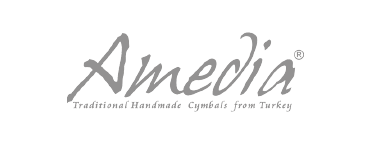 Amedia Logo